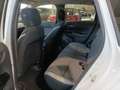 Honda Jazz Jazz 1.5 Hev Crosstar eCVT Executive Bianco - thumbnail 11