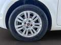 Fiat Punto 1.3 mjt II 16v Lounge s&s 95cv 5p Blanco - thumbnail 15
