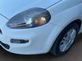 Fiat Punto 1.3 mjt II 16v Lounge s&s 95cv 5p Blanco - thumbnail 14