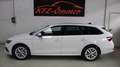 Skoda Octavia Combi 2,0 TDI Style DSG,AHK,Head-Up,ACC,Keyless... Weiß - thumbnail 10