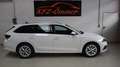 Skoda Octavia Combi 2,0 TDI Style DSG,AHK,Head-Up,ACC,Keyless... Weiß - thumbnail 11