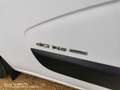 Renault Master 2.3 dCi  1 PROP CLIM TVA RECUPERABLE Blanc - thumbnail 7