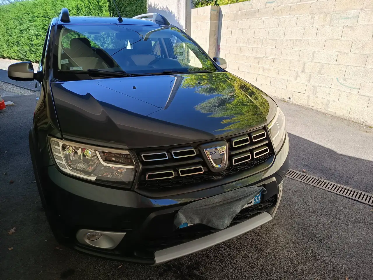 Renault Sandero Stepway