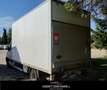 Mercedes-Benz Sprinter T43/35 414 CDI RWD RG CASSA E SPONDA DHOLLANDIA Bianco - thumbnail 3