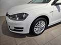 Volkswagen Golf 2.0 TDI Cup Navi ParkAss Bluetooth NSW Alu Wit - thumbnail 3
