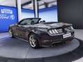 Ford Mustang Mustang Convertible 5.0 Ti-VCT V8 GT Grau - thumbnail 4