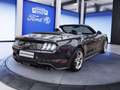 Ford Mustang Mustang Convertible 5.0 Ti-VCT V8 GT Grau - thumbnail 5