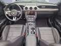 Ford Mustang Mustang Convertible 5.0 Ti-VCT V8 GT Grau - thumbnail 10