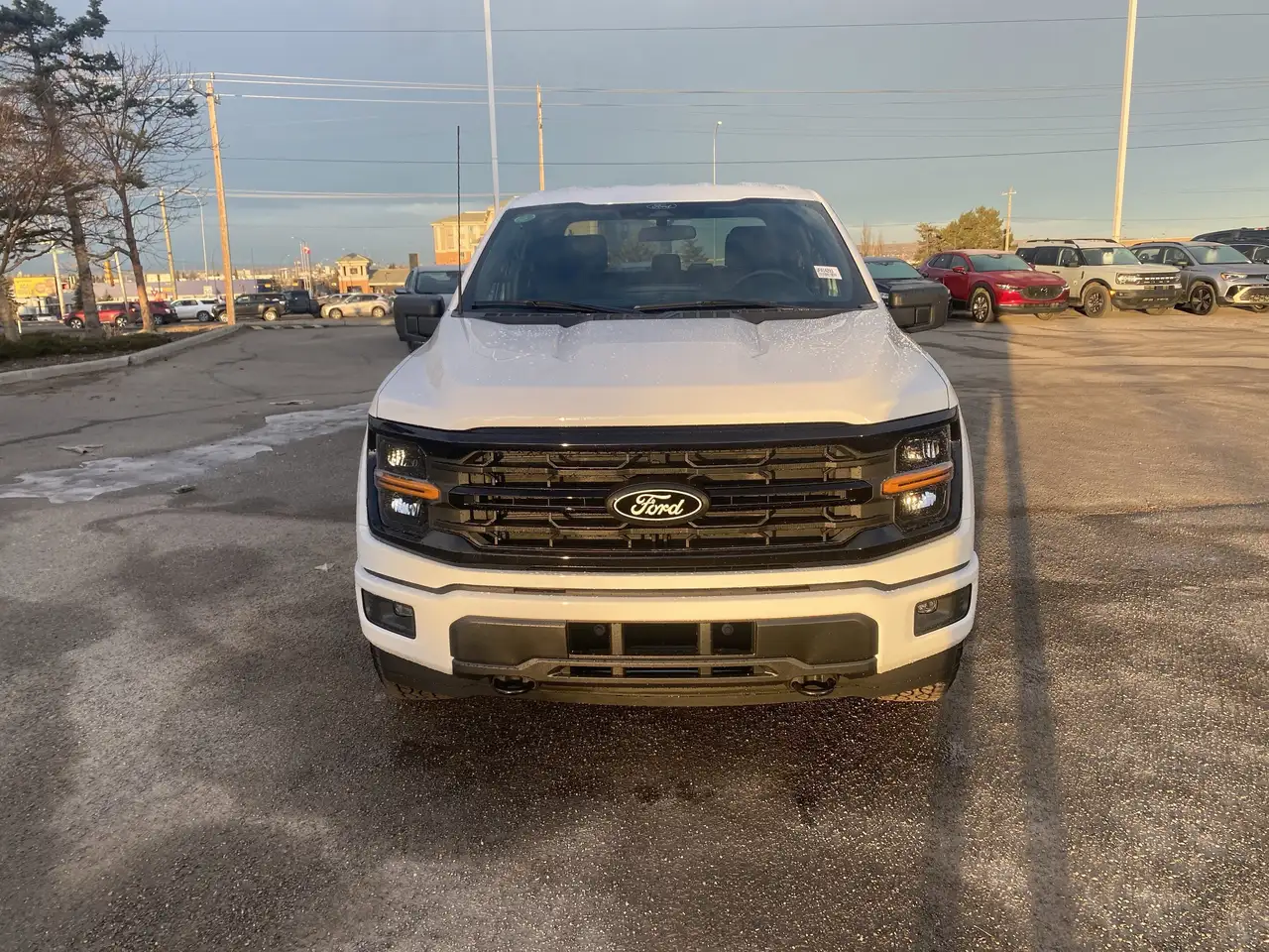 Ford F 150 снимка Ford F 150