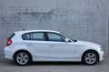 BMW 116 BMW 116i/5-deur/Pdc/multistuur/cruise control Blanc - thumbnail 5