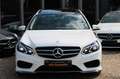 Mercedes-Benz E 350 T 4MATIC AMG 7-G LED KEYLESS 7-SITZER KAM Bílá - thumbnail 2