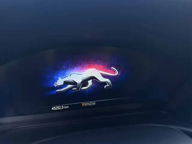 Ford Puma view 14