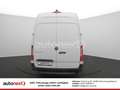 Mercedes-Benz Sprinter 316 Automatik *MAXI* KAMERA+NAVI (5273) Weiß - thumbnail 8