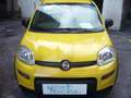 Fiat Panda 1.0 FireFly S&S Hybrid Pandina Urban Radio Km 0 Giallo - thumbnail 6