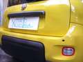 Fiat Panda 1.0 FireFly S&S Hybrid Pandina Urban Radio Km 0 Giallo - thumbnail 11