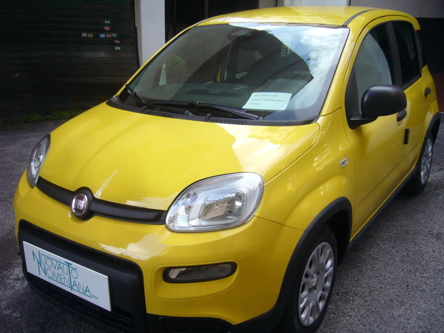 Fiat Panda 1.0 FireFly S&S Hybrid Pandina Urban Radio Km 0 Giallo - 1