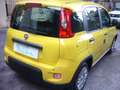 Fiat Panda 1.0 FireFly S&S Hybrid Pandina Urban Radio Km 0 Giallo - thumbnail 9