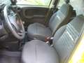 Fiat Panda 1.0 FireFly S&S Hybrid Pandina Urban Radio Km 0 Giallo - thumbnail 18