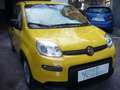 Fiat Panda 1.0 FireFly S&S Hybrid Pandina Urban Radio Km 0 Giallo - thumbnail 8