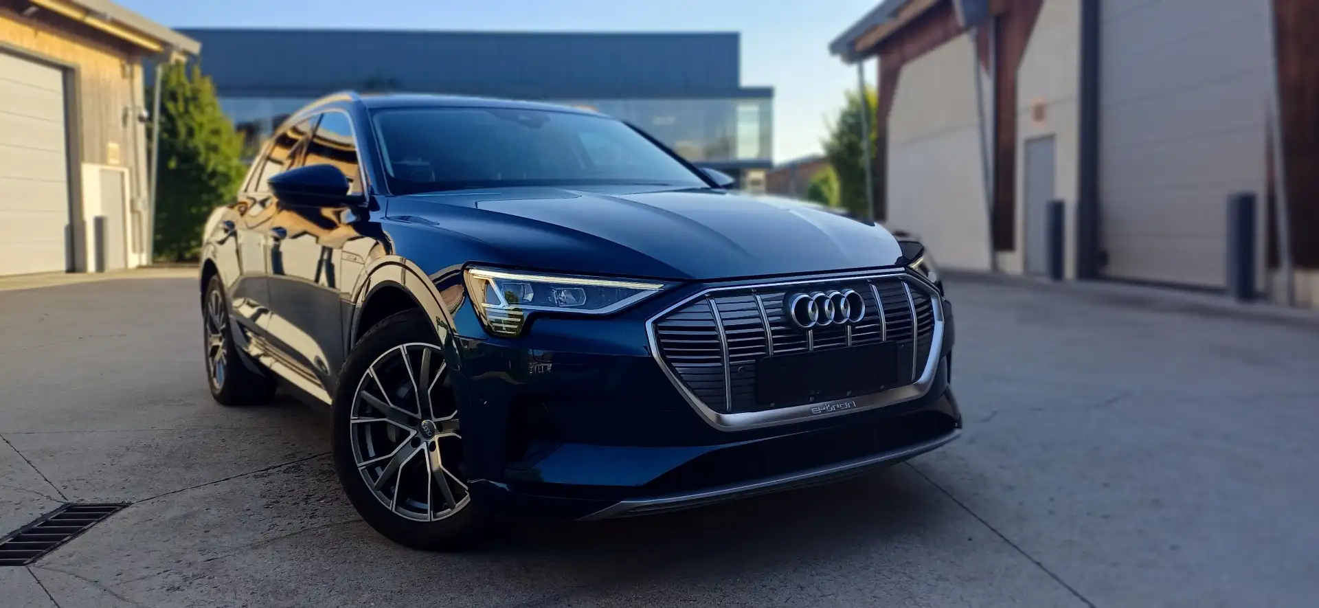 Audi e-tron 50 quattro Launch Edition Plus Blauw - 1