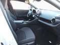 Toyota C-HR 2.0 Plug-in-Hybrid Team Deutschland Alb - thumbnail 10