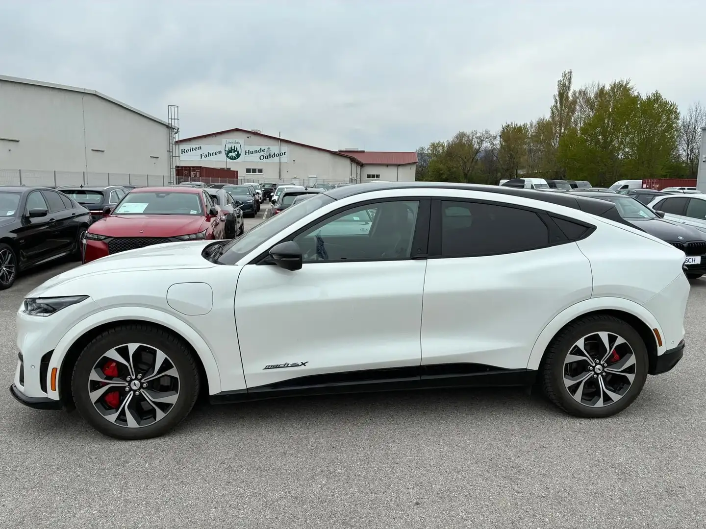 Ford Mustang Mach-E 99kWh GT AWD Extended Range -52% Weiß - 2