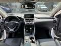 Lexus NX 300 NX Hybrid 4WD Premium Bianco - thumbnail 8