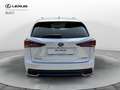 Lexus NX 300 NX Hybrid 4WD Premium Bianco - thumbnail 4