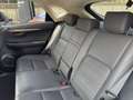 Lexus NX 300 NX Hybrid 4WD Premium Bianco - thumbnail 7