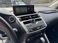 Lexus NX 300 NX Hybrid 4WD Premium Bianco - thumbnail 15