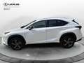 Lexus NX 300 NX Hybrid 4WD Premium Bianco - thumbnail 3