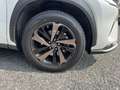 Lexus NX 300 NX Hybrid 4WD Premium Bianco - thumbnail 14