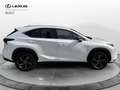 Lexus NX 300 NX Hybrid 4WD Premium Bianco - thumbnail 13