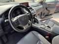 Lexus NX 300 NX Hybrid 4WD Premium Bianco - thumbnail 10