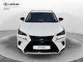 Lexus NX 300 NX Hybrid 4WD Premium Bianco - thumbnail 5