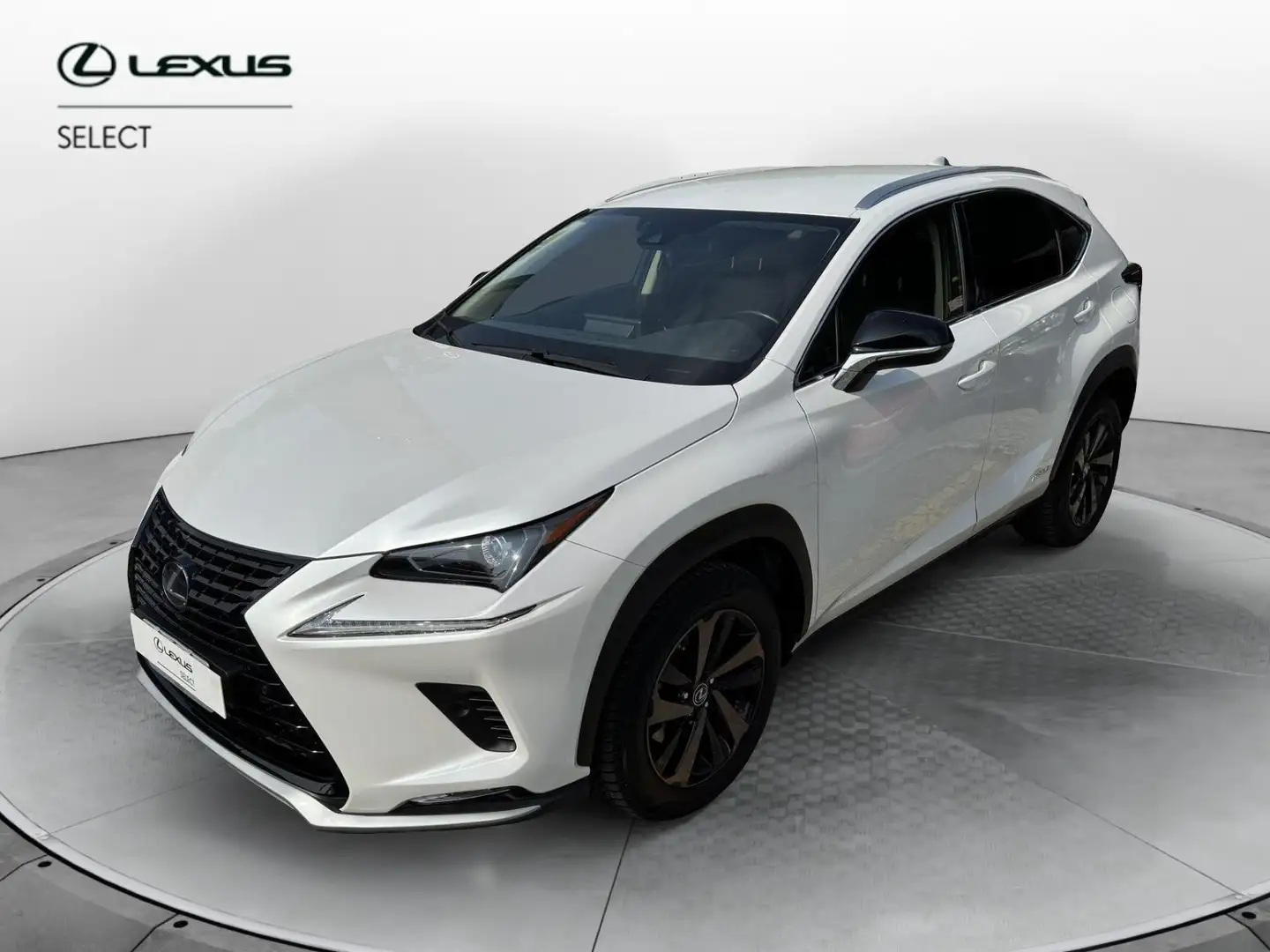 Lexus NX 300 NX Hybrid 4WD Premium Bianco - 1