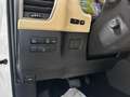 Lexus NX 300 h 2.5 Luxury 4wd cvt Bianco - thumbnail 13