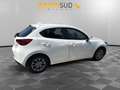Mazda 2 2 1.5 Evolve 75cv Alb - thumbnail 7