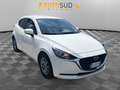 Mazda 2 2 1.5 Evolve 75cv Alb - thumbnail 8