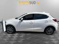 Mazda 2 2 1.5 Evolve 75cv Alb - thumbnail 3