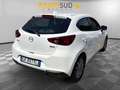 Mazda 2 2 1.5 Evolve 75cv Alb - thumbnail 6