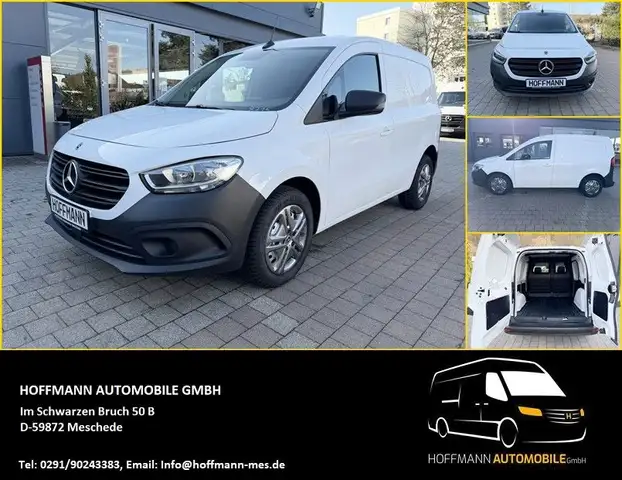 Mercedes-Benz Citan Kasten 110 CDI Kamera Klima Tempomat