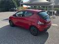 Lancia Ypsilon Ypsilon 1.2 Elefantino 69cv my18 Rosso - thumbnail 5