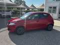 Lancia Ypsilon Ypsilon 1.2 Elefantino 69cv my18 Rosso - thumbnail 4