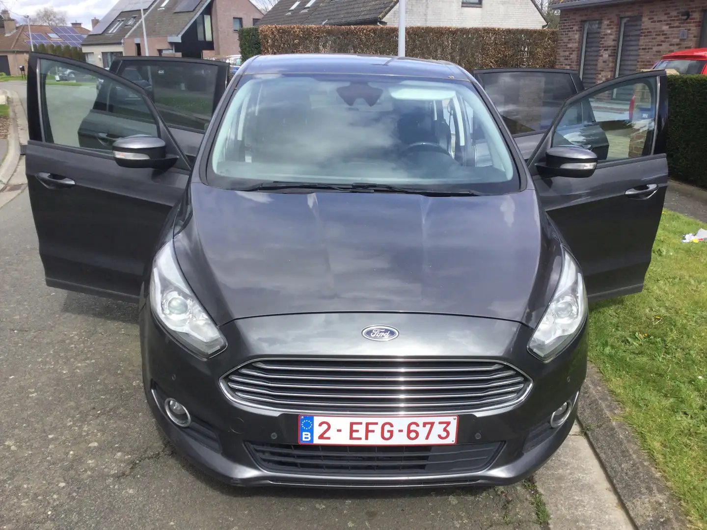 Ford S-Max S-Max 2.0 TDCi Business Gris - 2