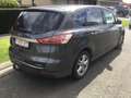 Ford S-Max S-Max 2.0 TDCi Business Gris - thumbnail 1