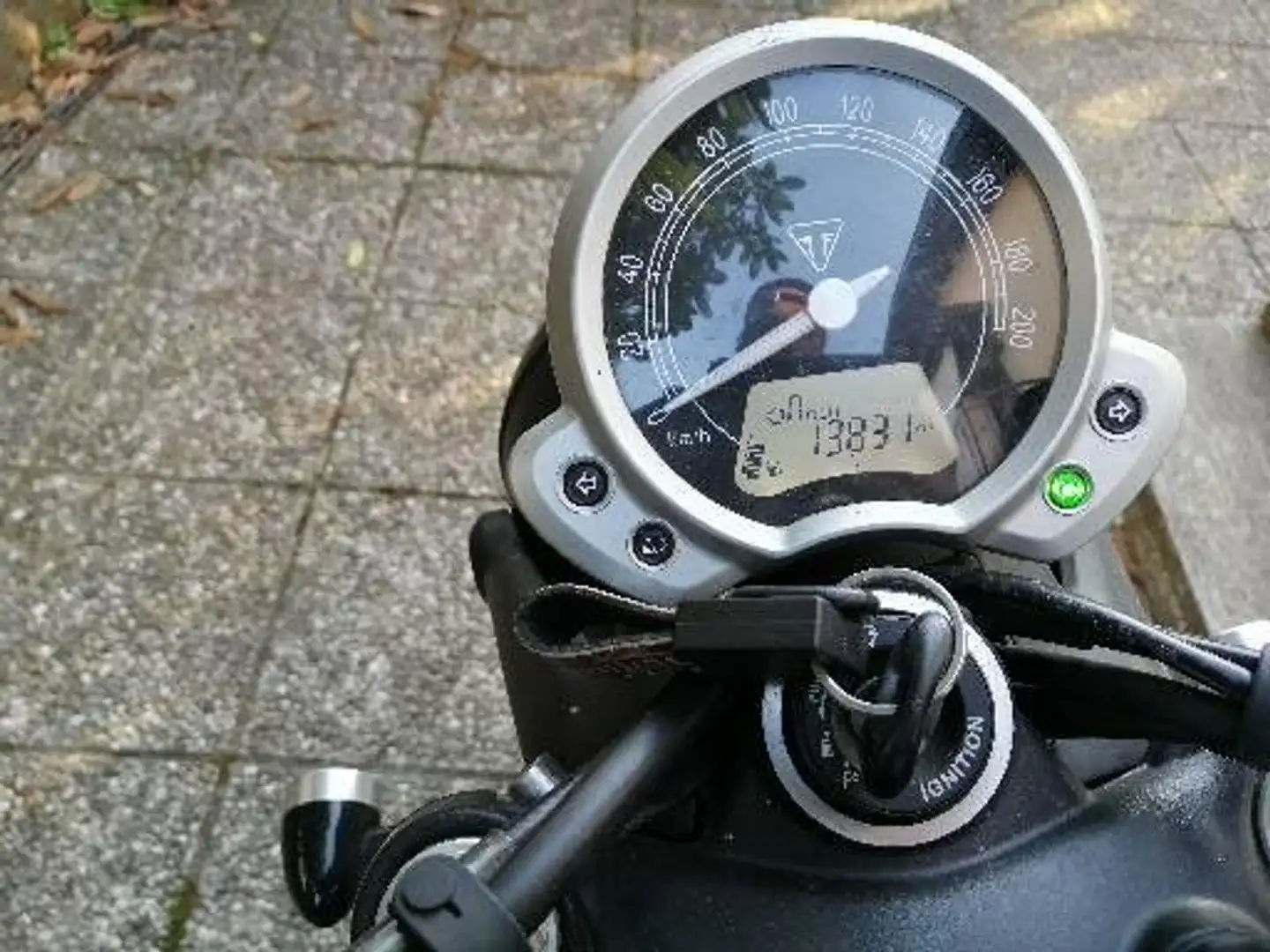 Triumph Street Twin 900 Albastru - 2