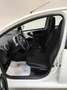 Toyota Aygo Aygo 1.0 12V VVT-i 5 porte Active Connect Blanc - thumbnail 5