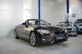 BMW 220 i Cabriolet SportLine *Harman*M-Lenkrad*Navi Braun - thumbnail 3
