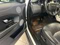Land Rover Range Rover Evoque Range Rover Evoque 2.0 TD4 150 CV 5p. SE Dynamic Weiß - thumbnail 5